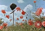 Image tombe d'un soldat américain Allemagne, 1945, de la seconde 21 séquences d'archives historiques vidéo 65675036103