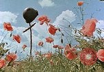 Image tombe d'un soldat américain Allemagne, 1945, de la seconde 25 séquences d'archives historiques vidéo 65675036103