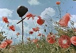 Image tombe d'un soldat américain Allemagne, 1945, de la seconde 26 séquences d'archives historiques vidéo 65675036103