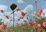 Image tombe d'un soldat américain Allemagne, 1945, de la seconde 28 séquences d'archives historiques vidéo 65675036103