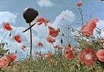 Image tombe d'un soldat américain Allemagne, 1945, de la seconde 30 séquences d'archives historiques vidéo 65675036103