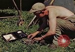 Image of P-47 Thunderbolt Germany, 1945, second 4 stock footage video 65675036109