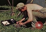 Image of P-47 Thunderbolt Germany, 1945, second 5 stock footage video 65675036109