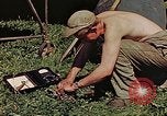Image of P-47 Thunderbolt Germany, 1945, second 6 stock footage video 65675036109
