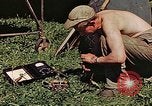 Image of P-47 Thunderbolt Germany, 1945, second 12 stock footage video 65675036109