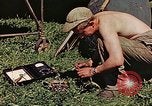 Image of P-47 Thunderbolt Germany, 1945, second 13 stock footage video 65675036109