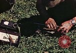Image of P-47 Thunderbolt Germany, 1945, second 21 stock footage video 65675036109