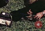 Image of P-47 Thunderbolt Germany, 1945, second 22 stock footage video 65675036109
