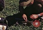 Image of P-47 Thunderbolt Germany, 1945, second 25 stock footage video 65675036109