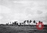 Image of Victory on Guam Guam, 1944, second 6 stock footage video 65675036121