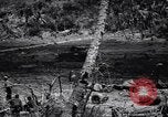 Image of Victory on Guam Guam, 1944, second 9 stock footage video 65675036121