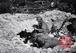 Image of Victory on Guam Guam, 1944, second 11 stock footage video 65675036121