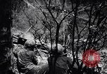 Image of Victory on Guam Guam, 1944, second 25 stock footage video 65675036121