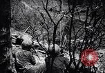 Image of Victory on Guam Guam, 1944, second 26 stock footage video 65675036121