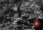 Image of Victory on Guam Guam, 1944, second 28 stock footage video 65675036121
