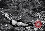 Image of Victory on Guam Guam, 1944, second 53 stock footage video 65675036121
