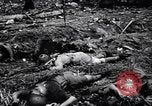 Image of Victory on Guam Guam, 1944, second 54 stock footage video 65675036121
