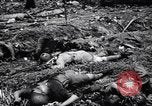 Image of Victory on Guam Guam, 1944, second 55 stock footage video 65675036121