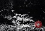 Image of Victory on Guam Guam, 1944, second 57 stock footage video 65675036121