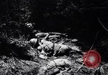 Image of Victory on Guam Guam, 1944, second 58 stock footage video 65675036121