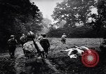 Image of Nazi Defense Crumbles in France France, 1944, second 55 stock footage video 65675036122