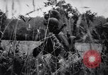 Image of Nazi Defense Crumbles in France France, 1944, second 58 stock footage video 65675036122