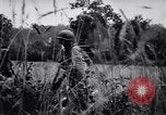 Image of Nazi Defense Crumbles in France France, 1944, second 59 stock footage video 65675036122