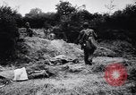 Image of Nazi Defense Crumbles in France France, 1944, second 61 stock footage video 65675036122