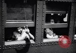 Standbild europäische jüdische Flüchtlinge auf einem US-Camp Oswego New York USA, 1944, aus Sekunde 13 historischem Filmmaterial Videoclip 65675036124
