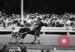 Standbild Mais Quaste Derby Kabelbaum Pferderennen Goshen New York USA, 1944, aus Sekunde 11 historischem Filmmaterial Videoclip 65675036126