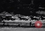 Standbild Mais Quaste Derby Kabelbaum Pferderennen Goshen New York USA, 1944, aus Sekunde 41 historischem Filmmaterial Videoclip 65675036126