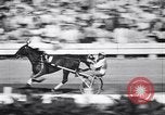 Standbild Mais Quaste Derby Kabelbaum Pferderennen Goshen New York USA, 1944, aus Sekunde 53 historischem Filmmaterial Videoclip 65675036126