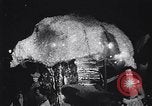 Image of cotton celebration and parade Memphis Tennessee USA, 1946, second 43 stock footage video 65675036132