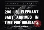 Image New Born Baby Elephant l'Europe, 1938, de la seconde 1 séquences d'archives historiques vidéo 65675036139