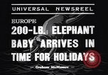 Image New Born Baby Elephant l'Europe, 1938, de la seconde 5 séquences d'archives historiques vidéo 65675036139