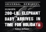 Image New Born Baby Elephant l'Europe, 1938, de la seconde 7 séquences d'archives historiques vidéo 65675036139