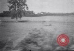 Immagine di Teorie razziali utilizzato dal partito nazista Stati Uniti, 1945, secondo 23 filmato di repertorio 65675036145