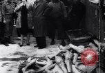 Image of British Members of Parliament Germany, 1945, second 40 stock footage video 65675036149