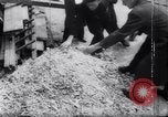 Image of British Members of Parliament Germany, 1945, second 48 stock footage video 65675036149