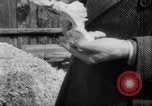 Image of British Members of Parliament Germany, 1945, second 49 stock footage video 65675036149