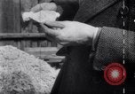 Image of British Members of Parliament Germany, 1945, second 50 stock footage video 65675036149