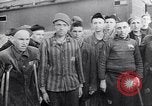 Image au camp de concentration de Buchenwald Buchenwald Allemagne, 1945, de la seconde 49 séquences d'archives historiques vidéo 65675036150