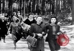 Image au camp de concentration de Buchenwald Buchenwald Allemagne, 1945, de la seconde 3 séquences d'archives historiques vidéo 65675036151