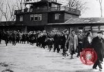 Image au camp de concentration de Buchenwald Buchenwald Allemagne, 1945, de la seconde 42 séquences d'archives historiques vidéo 65675036151