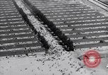 Image of Dachau concentration camp Dachau Germany, 1945, second 37 stock footage video 65675036152