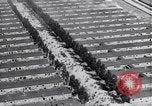 Image of Dachau concentration camp Dachau Germany, 1945, second 41 stock footage video 65675036152