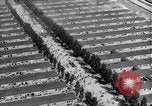Image of Dachau concentration camp Dachau Germany, 1945, second 43 stock footage video 65675036152