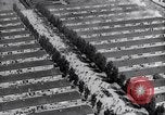 Image of Dachau concentration camp Dachau Germany, 1945, second 46 stock footage video 65675036152