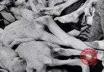 Immagine di Campo di concentramento di Dachau Dachau Germania, 1945, secondo 13 filmato di repertorio 65675036153