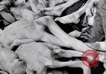 Immagine di Campo di concentramento di Dachau Dachau Germania, 1945, secondo 16 filmato di repertorio 65675036153